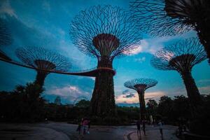 luces en jardines por el bahía en Singapur. foto