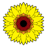 sunflower Clipart, sunflower transparent background png