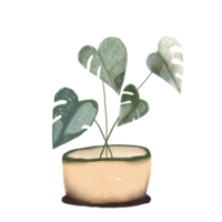 aquarelle pot plante sur une transparent Contexte png