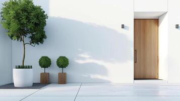 The front door of a house is surrounded by two large potted trees and lamps. White wall with copy space photo