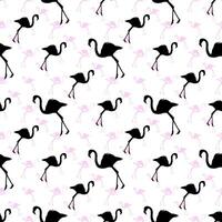 Flamingo Pattern Design with white Background and Pink and Black Birds vector