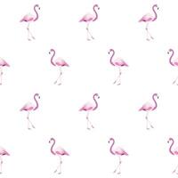 Flamingo Pattern Background Design vector