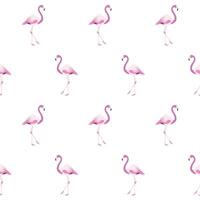 Flamingo Pattern Background Design vector
