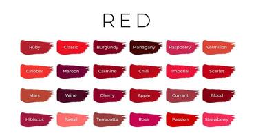 Red Paint Color Swatches with Shade Names on Brush Strokes vector