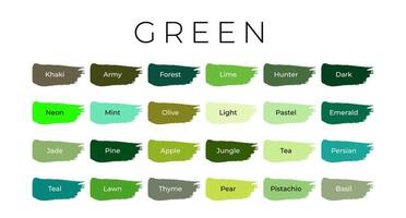 Green Paint Color Swatches with Shade Names on Brush Strokes vector