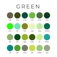 verde color sombras muestras paleta con nombres vector