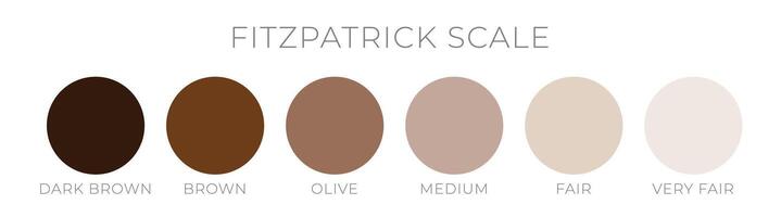 Skin Color by Fitzpatric Scale vector