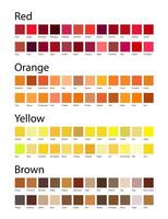 Red, Orange, Yellow and Brown Colors Shades Swatches Palette with Color Names vector