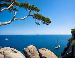 Background concept, rugged cliffs and a arching tree with a sailboat in distance photo