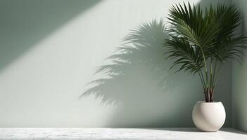 Simple mockup background with Palm tree leaves casting shadows on the wall photo