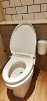 WC or white toilet bowl with flushing water photo