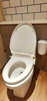 WC or white toilet bowl with flushing water photo