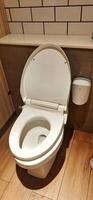 WC or white toilet bowl with flushing water photo