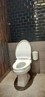 WC or white toilet bowl with flushing water photo