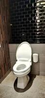 WC or white toilet bowl with flushing water photo