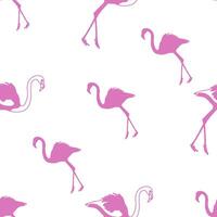 Pink Flamingo Pattern Design on White Background vector