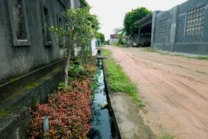 view of a dirt road in a village with a natural concept photo