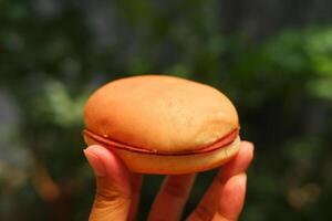 manos participación un hamburguesa en un borroso antecedentes. cerca arriba. foto