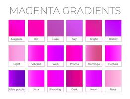 Magenta Pink Gradient Collection with Color Names vector