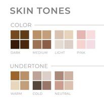 Skin tones with Undertone. Warm, Cold, Neutral Skin Colors vector