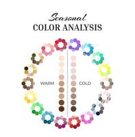 Seasonal Color Analysis Wheel Palette with Cold and Warm Colors and Skin Swatches vector