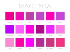 Magenta Color Shades Swatches vector