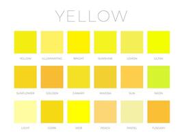 Yellow Color Shades Swatches vector