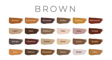 Brown Paint Color Swatches with Shade Names on Brush Strokes vector
