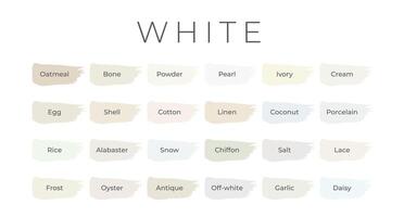 White Paint Color Swatches with Shade Names on Brush Strokes vector