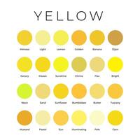 amarillo color sombras muestras paleta con nombres vector