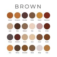 Brown Color Shades Swatches Palette with Names vector