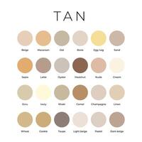 Tan Beige Color Shades Swatches Palette with Names vector