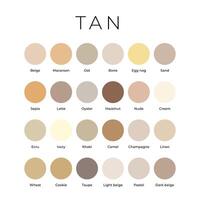 bronceado beige color sombras muestras paleta con nombres vector