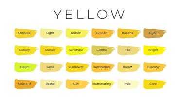 Yellow Paint Color Swatches with Shade Names on Brush Strokes vector