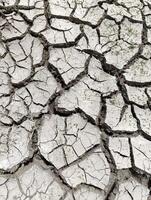 drought and global warming. cracked wall of a dry lake. photo