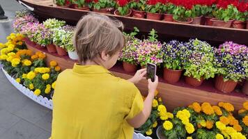 jovem pessoa dentro uma amarelo camisa fotografando vibrante jardim flores às uma plantar berçário, vinculação para conceitos do primavera, jardinagem, e natureza hobbies video
