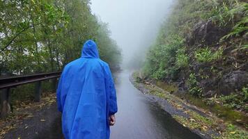 persona en azul impermeable caminando en un brumoso montaña la carretera rodeado por lozano verdor, evocando soledad y aventura, adecuado para viaje y monzón temas video