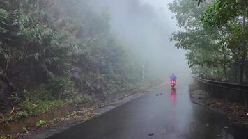 A lone cyclist on a misty mountain road, surrounded by lush greenery, evoking the tranquility and challenge of nature related activities and eco tourism video