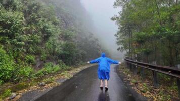 persona en un azul impermeable alegremente saltando en un brumoso montaña la carretera rodeado por lozano verdor, simbolizando libertad y el concepto de aventuras viaje video