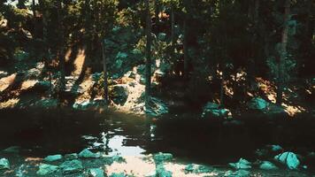 atemberaubend Berg Landschaft, mit ein still See und grün Wälder video