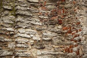 un de cerca de un base formación con marrón madera bañador y terrestre plantas creciente como cobertura del suelo, creando un modelo de césped en el roca. textura. antecedentes. foto