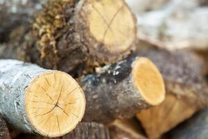 Natural wooden background - close-up of chopped firewood. A pile of firewood stacked and prepared for winter. Horizontal. Background photo