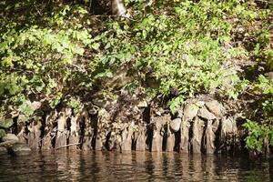 Summer landscape with a small river. River flowing and green bushes on the bank. Horizontal. photo