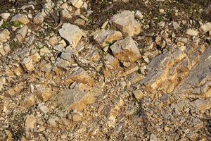 Red rocks of different shapes and sizes on the ground. Orange texture. Background. For text. For banner. Horizontal photo