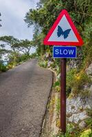 Road sign ordering slowing photo