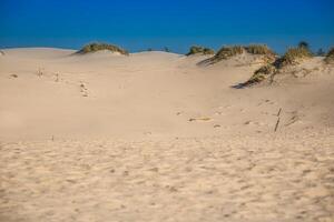 el dunas de el lentoinski nacional parque en Polonia foto