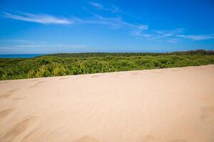 Sand dune of Bolonia beach, province Cadiz, Andalucia, Spain photo