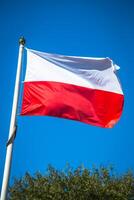 Polish flag on a pole against blue sky photo