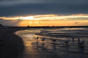 puesta de sol en el playa en leba, báltico mar, Polonia foto