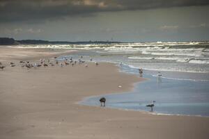 un ver de hermosa arenoso playa en leba ciudad, báltico mar, Polonia foto